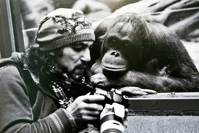 117 Crazy Photographers Who Will Do ANYTHING For The Perfect Shot