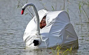 117 Crazy Photographers Who Will Do ANYTHING For The Perfect Shot