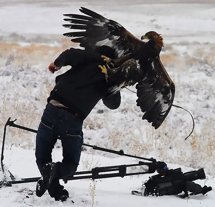 117 Crazy Photographers Who Will Do ANYTHING For The Perfect Shot