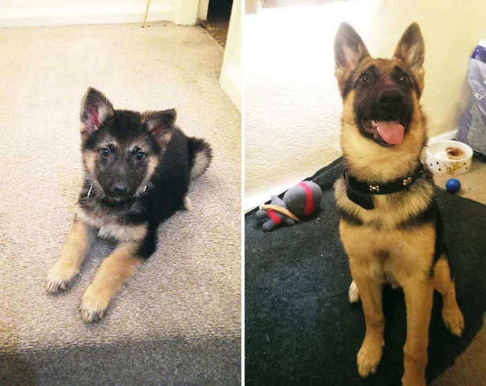 Three Months Apart