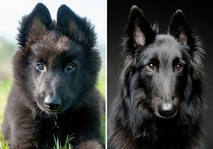 Tahoe Before And After...