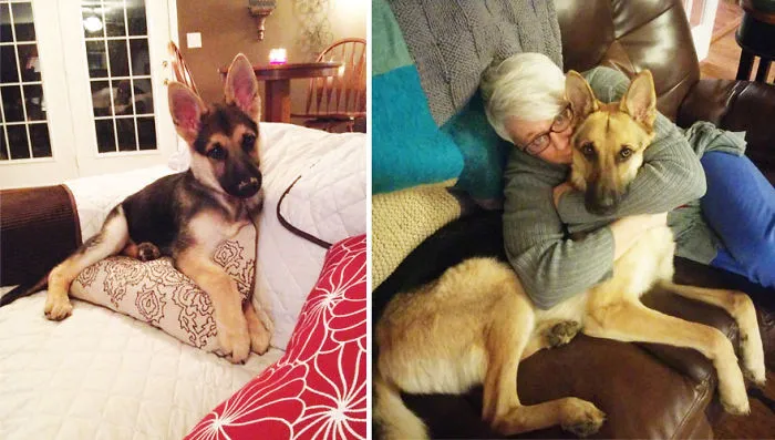 He Finally Grew Into His Ears