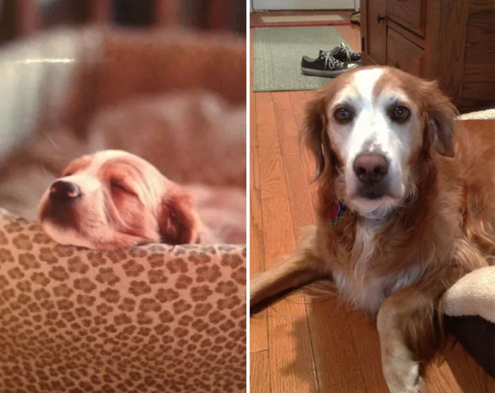Twelve Years Apart