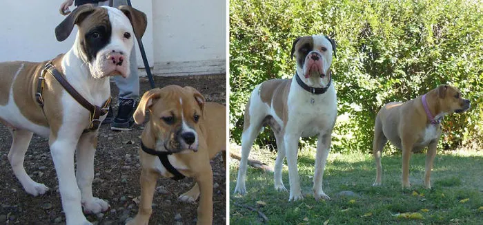 My Babies Then And Now At Two Years Old