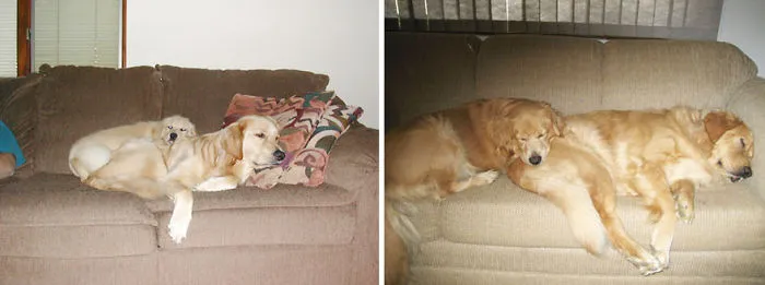 Sharing The Couch