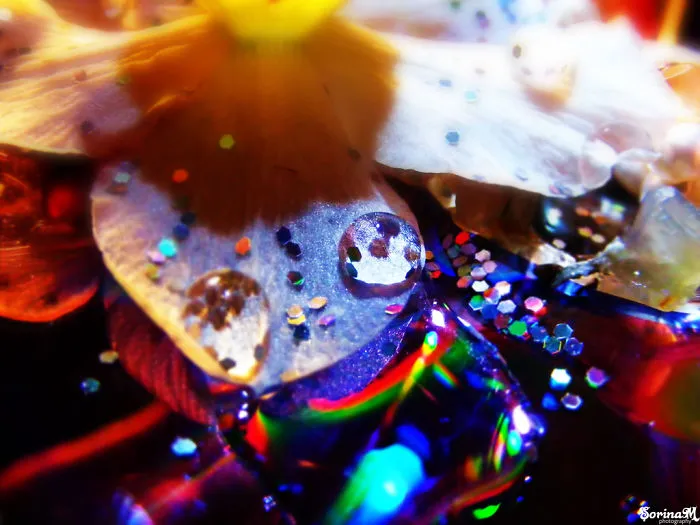 I Took Those Using Water Droplets, Glitter And An Old Cd.