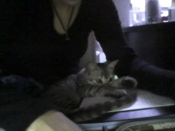 You've Studied Enough! It's Bedtime Now!