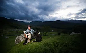 Working Dog And A Friend. Portraits Of Irish Farmers With Their Dogs.