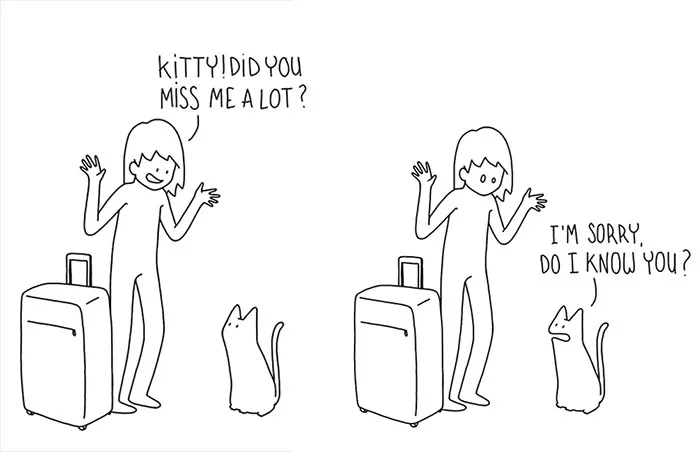 What Your Cat Really Thinks