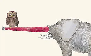 Broken: My Short Stories About Literally And Metaphorically Broken Animals