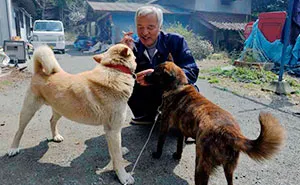 The Radioactive Man Who Returned To Fukushima To Feed The Animals That Everyone Else Left Behind