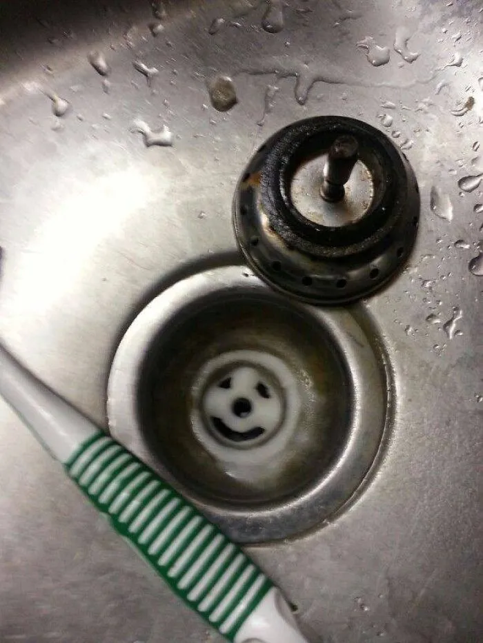 113 Photos Taken At Just The Right Moment