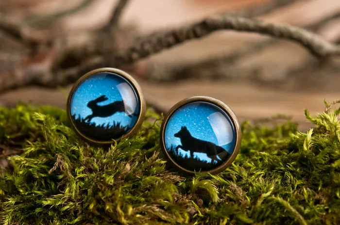 Night In Forest