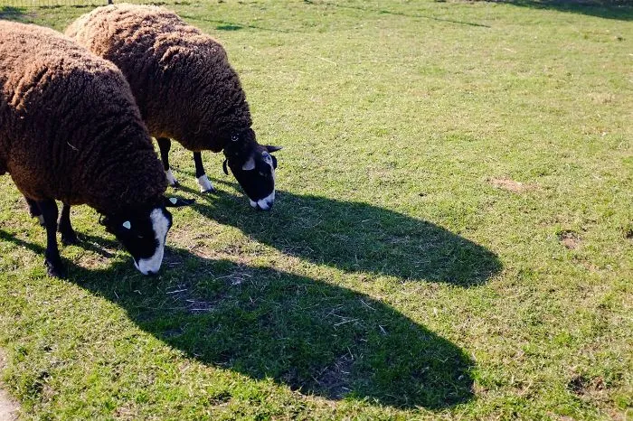 113 Photos Taken At Just The Right Moment