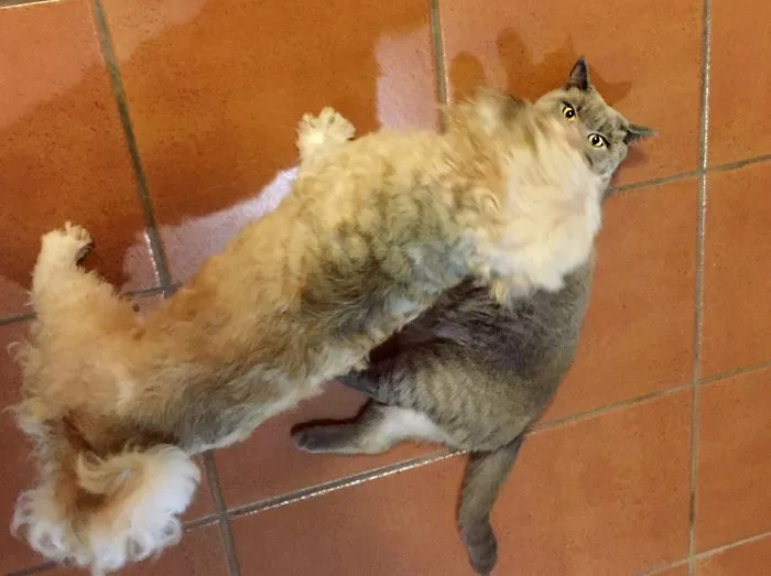 113 Photos Taken At Just The Right Moment