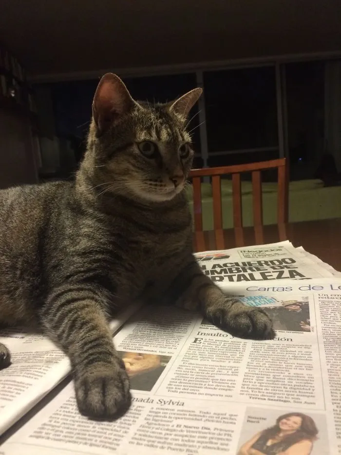 Letters From The Readers?!? No! You're Done With Today's Paper!