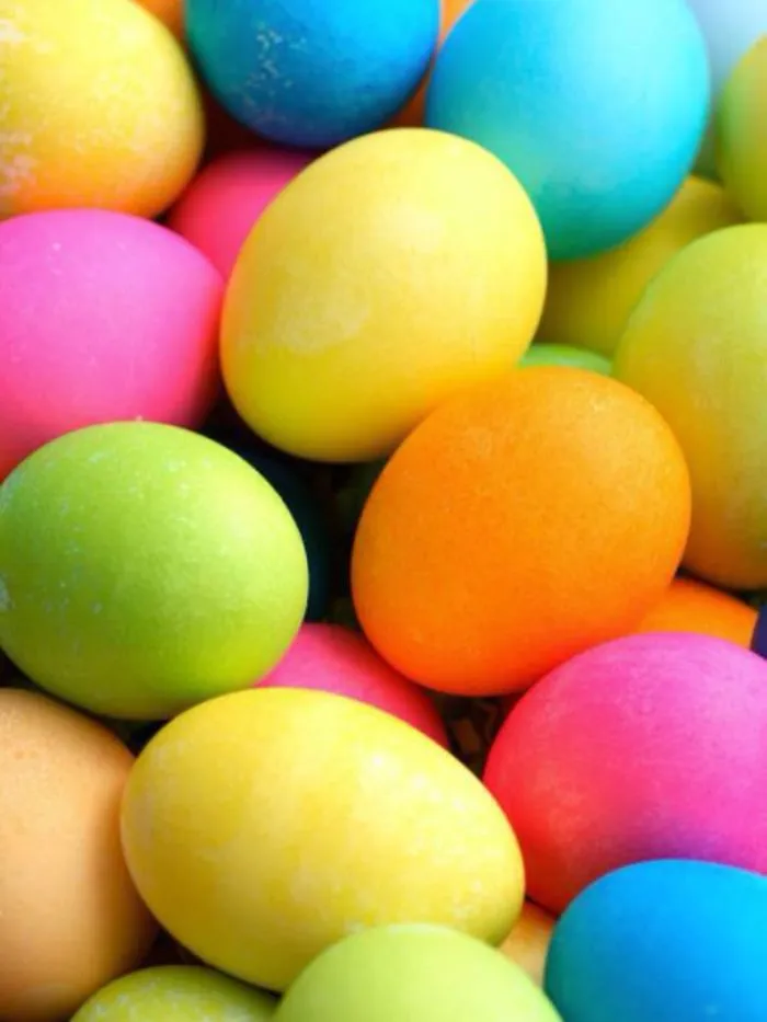 Usa Eggs