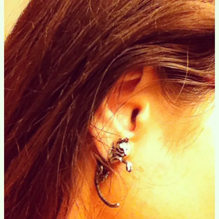 Cat-earrings