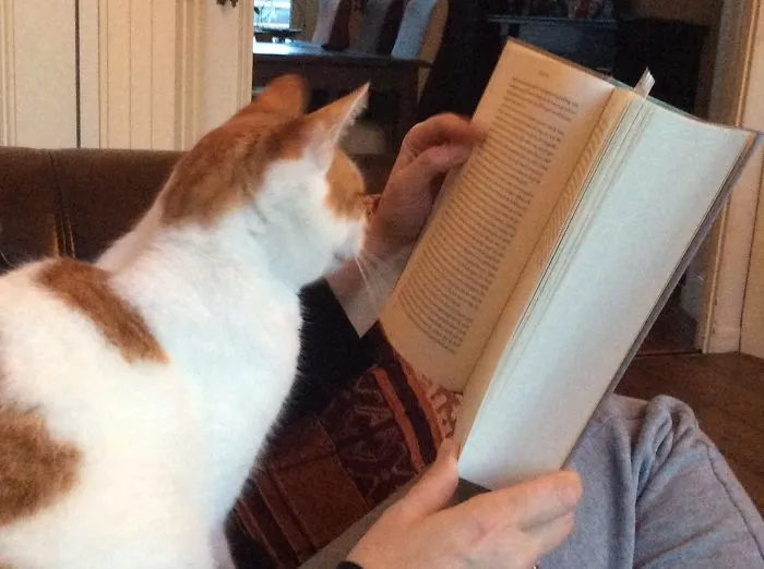 Luckily We Like The Same Literature
