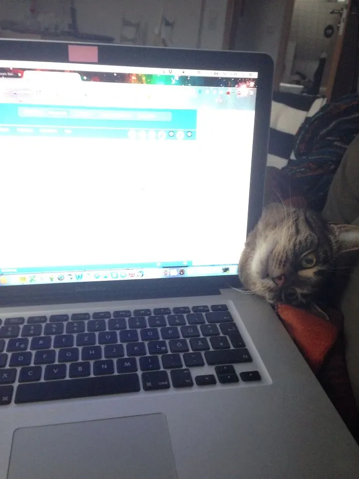 Hey, Cuddle Me!