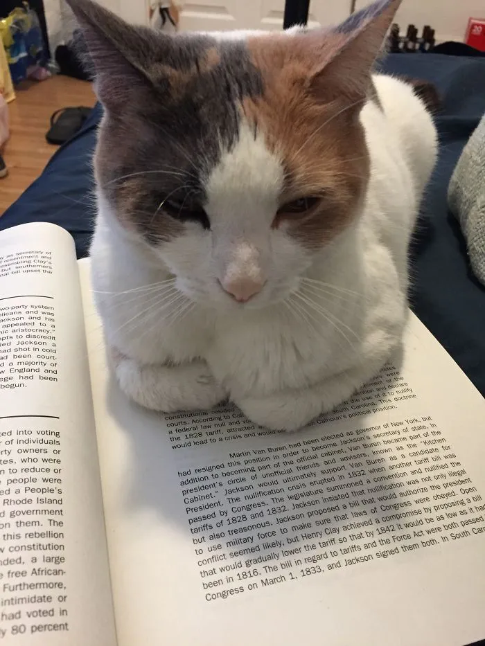 Studying? What's That?