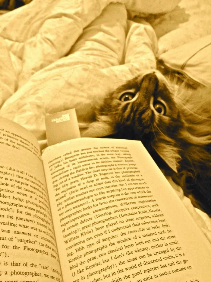 Read To Me