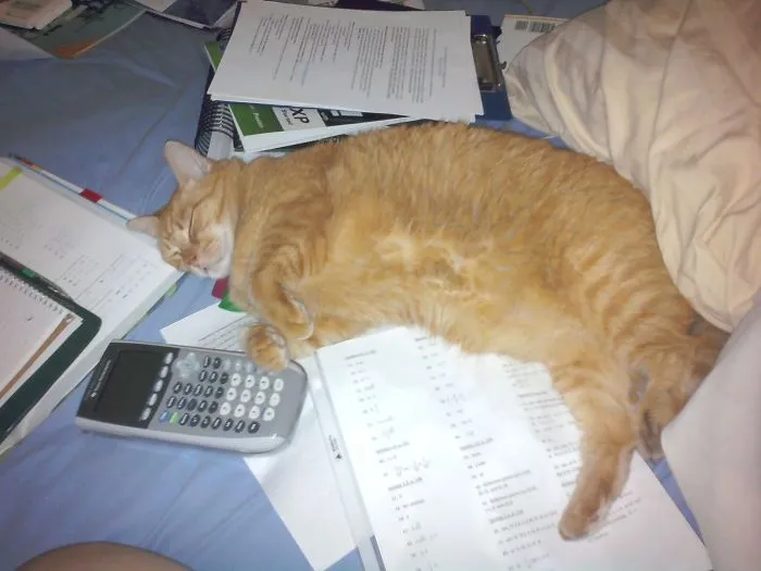 You Are So Done With Algebra Today!