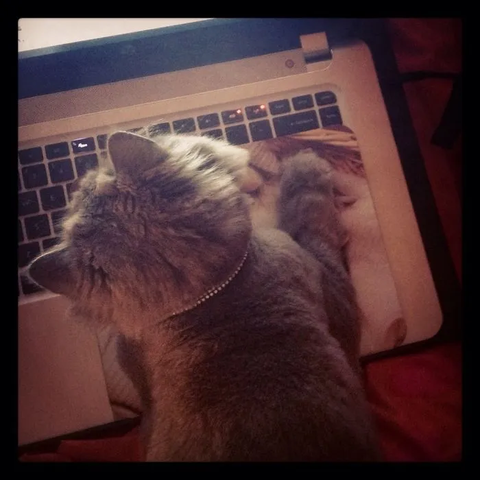 My Own Laptop!