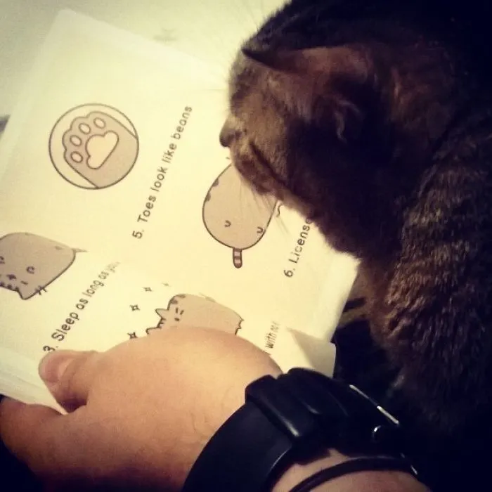 Reading A Bedtime Story