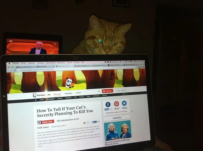 Even Boredpanda Can't Save You!