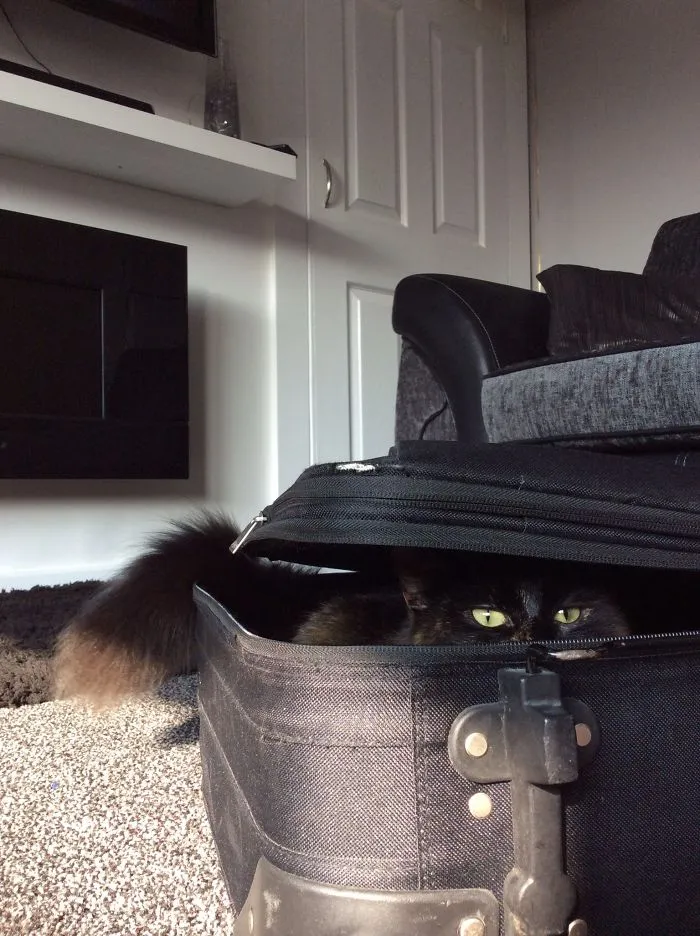 Where Do You Think You're Going?