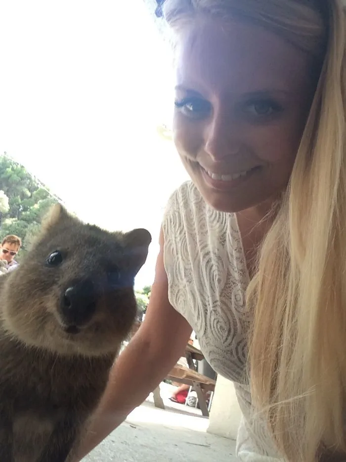 Quokka Cam