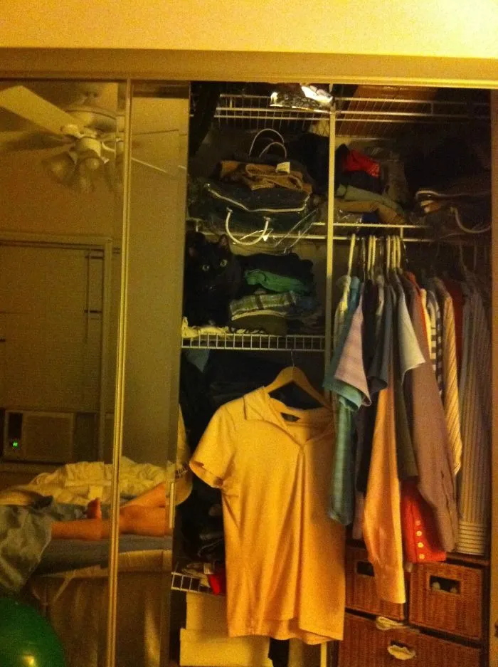 109 Camouflaged Cats That Win At Hide And Seek