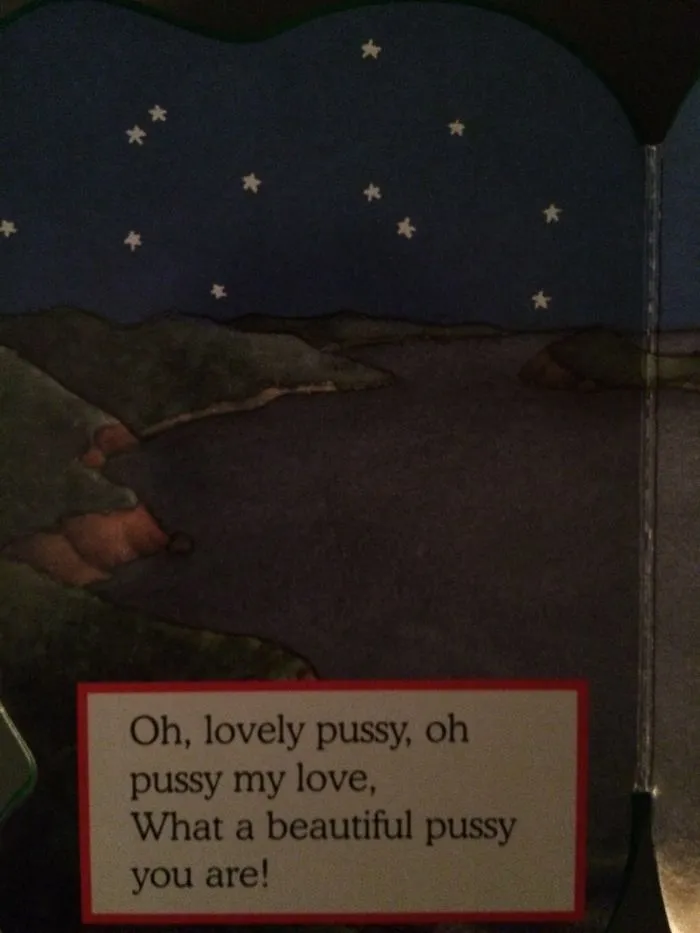 They Should Have Written Kitty
