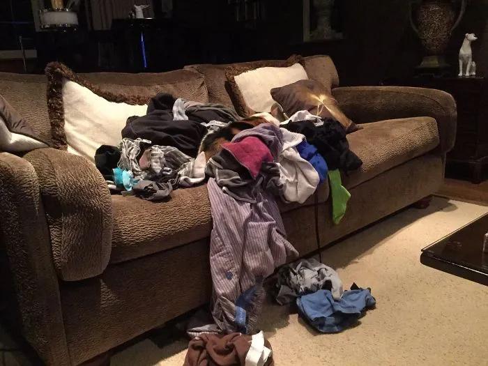 109 Camouflaged Cats That Win At Hide And Seek