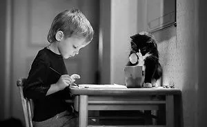 50 Adorable Photos Proving That Your Kids Need A Cat