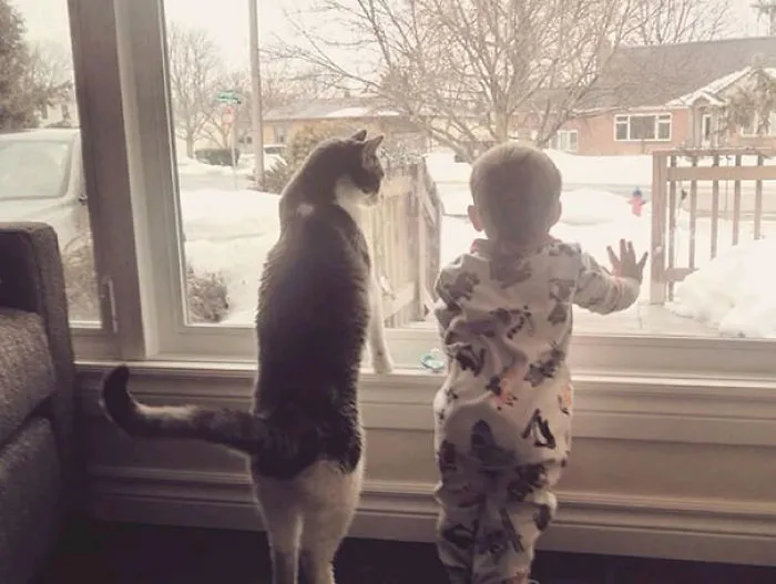 50 Adorable Photos Proving That Your Kids Need A Cat