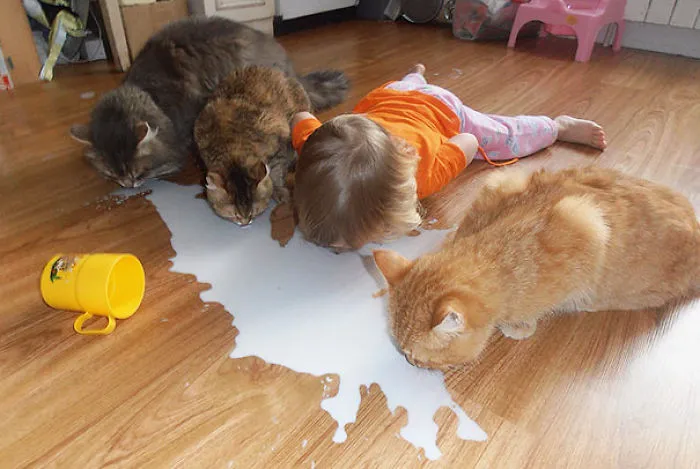 50 Adorable Photos Proving That Your Kids Need A Cat