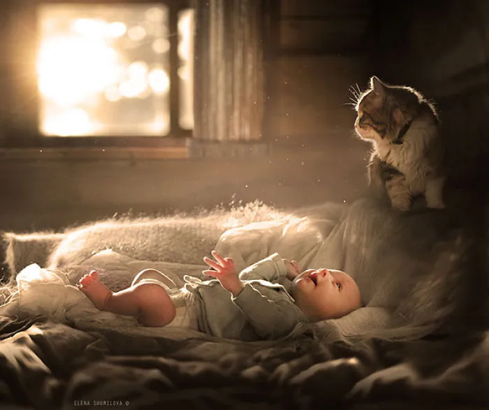 50 Adorable Photos Proving That Your Kids Need A Cat