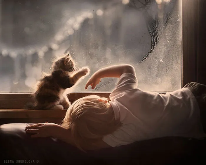 50 Adorable Photos Proving That Your Kids Need A Cat