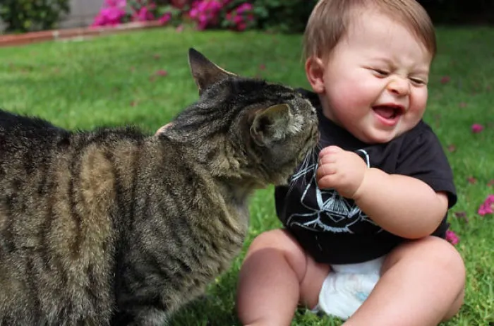 50 Adorable Photos Proving That Your Kids Need A Cat