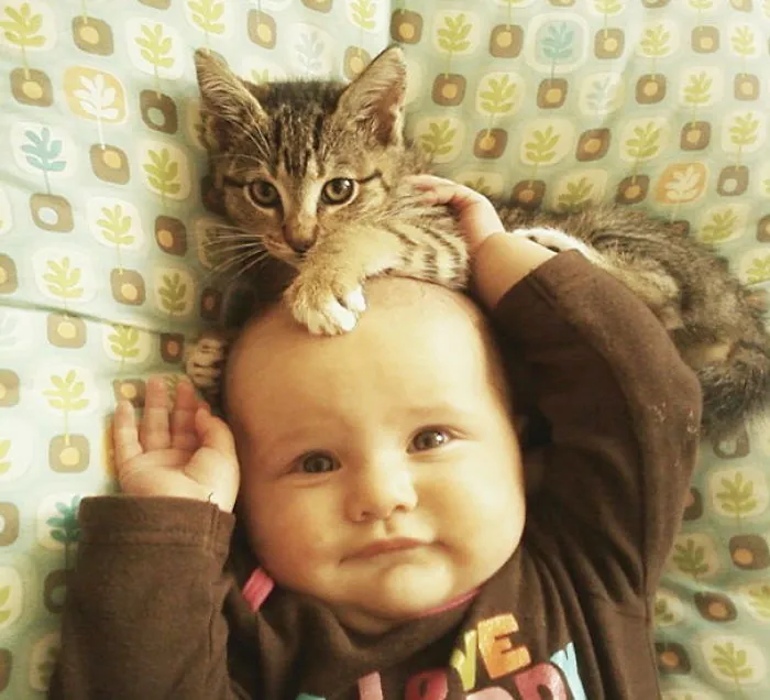 50 Adorable Photos Proving That Your Kids Need A Cat