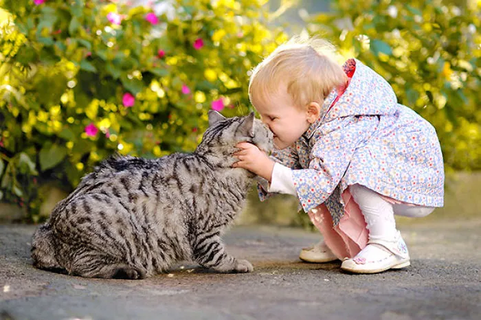 50 Adorable Photos Proving That Your Kids Need A Cat
