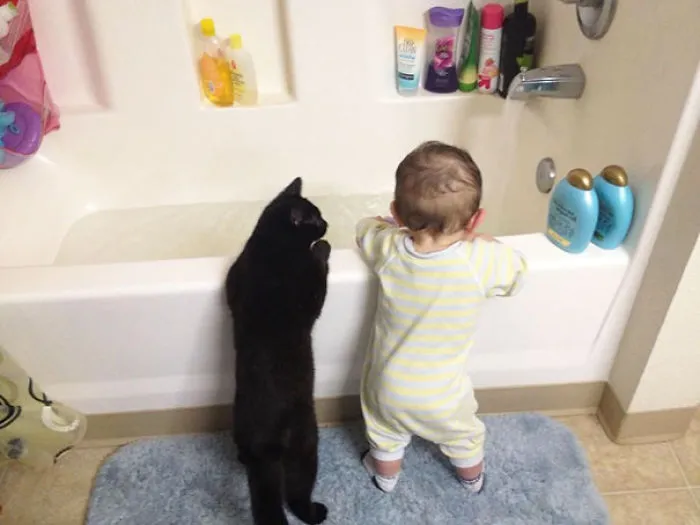 50 Adorable Photos Proving That Your Kids Need A Cat
