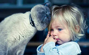 50 Adorable Photos Proving That Your Kids Need A Cat