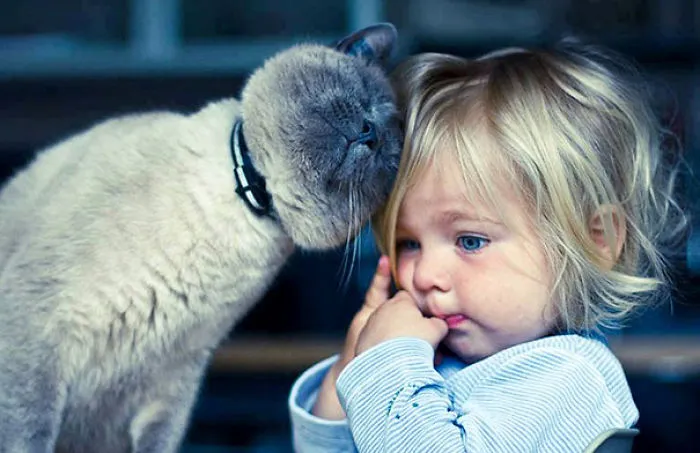50 Adorable Photos Proving That Your Kids Need A Cat