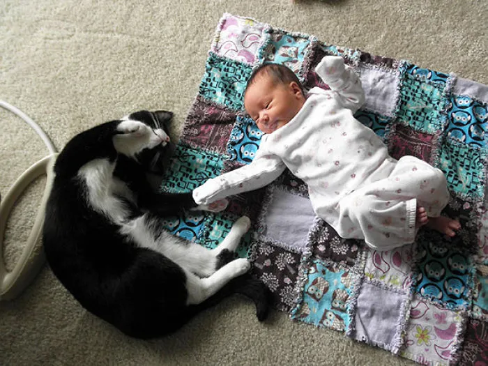 50 Adorable Photos Proving That Your Kids Need A Cat