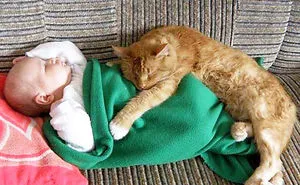 50 Adorable Photos Proving That Your Kids Need A Cat