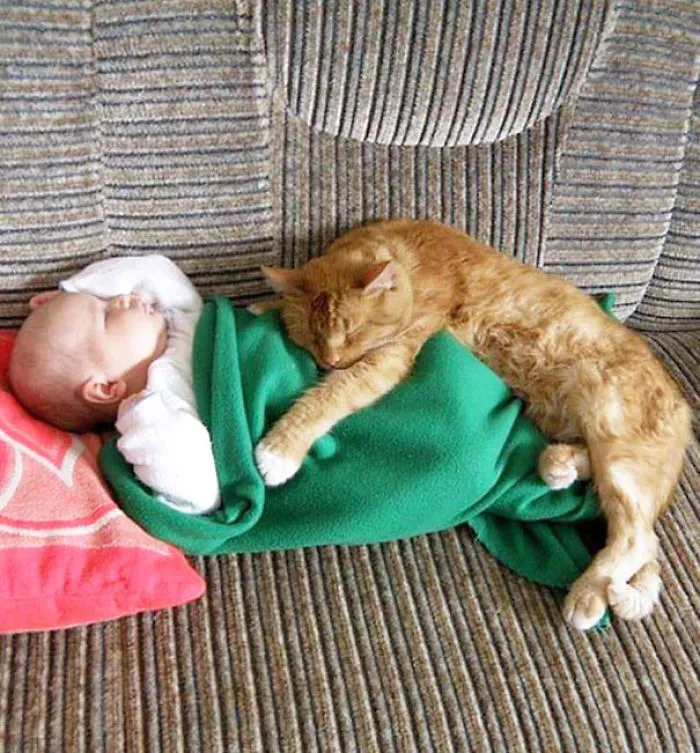 50 Adorable Photos Proving That Your Kids Need A Cat