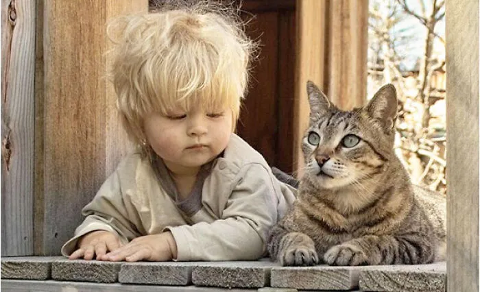 50 Adorable Photos Proving That Your Kids Need A Cat